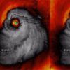 The Storm Of The Decade: 23 Key Facts About Hurricane Matthew As It Prepares To Slam Into The East Coast Hurricane-Matthew-NASA-Earth-Science-Office-460x345-2ba82a4daebd0dfed758e78ae487687cf40f469b