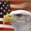 13 Bald Eagles Found Dead In Maryland Related To The Death Of Justice Scalia On February 13th? Bald-Eagle-American-Flag-Public-Domain-460x325-5ec6d7272261c8dbce9cde5871bc6553467f6182