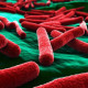 This Restaurant May Have Served E. Coli on a Hot Platter chipotle-69f98e55417730377f24543e8127d916cc7be5a9