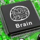 Amazon Moving Forward with Creating Computer Chips Amazon-Moving-Forward-with-Creating-Computer-Chips-c836b50470a60240a62b1386dd1f6bf8954ac5ef