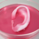 This new technology can ‘print’ human body parts… ear-54dc4ca0c170c292ef445714377c6c70829dce69